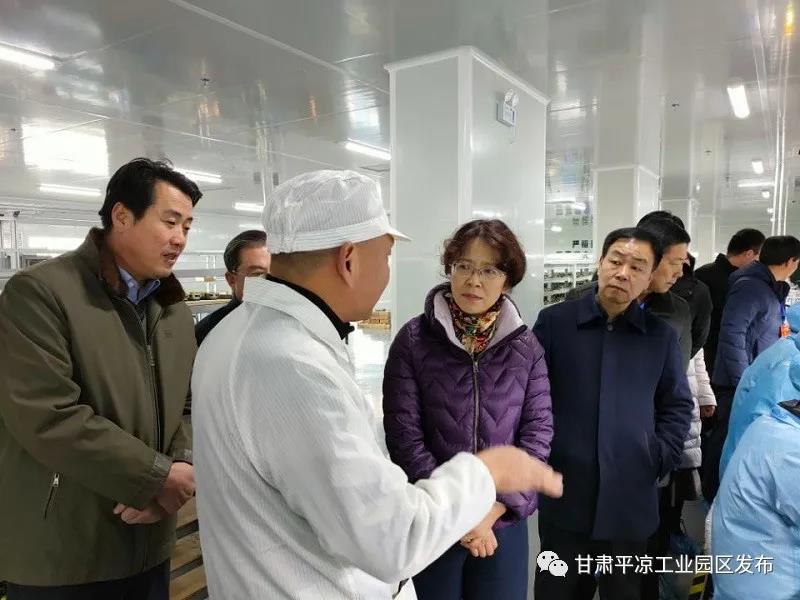 省市人大代表来星空体育工业园区视察(图2)